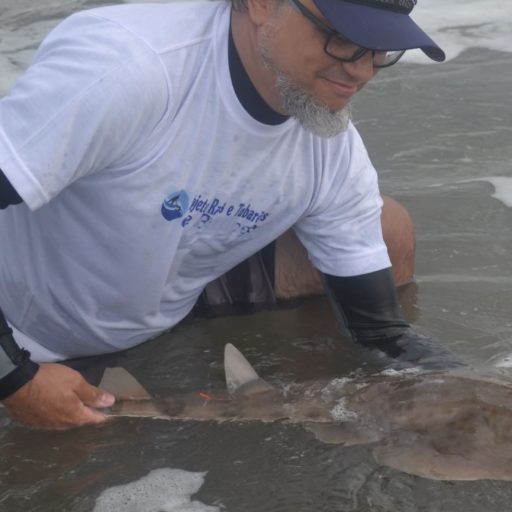 alexandre-rodrigues-1